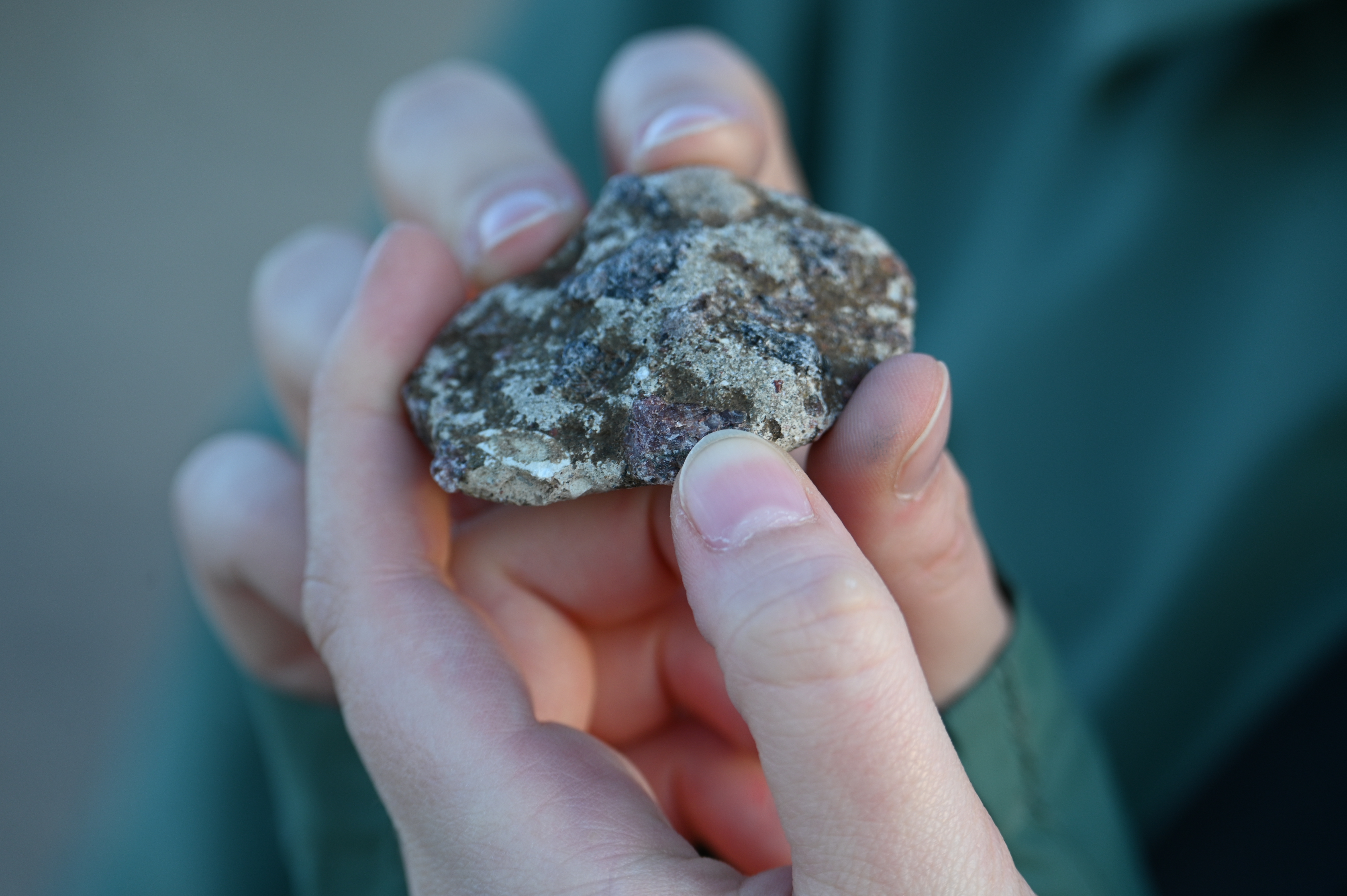 2025/10/18 - walk/DSC_0249.JPG